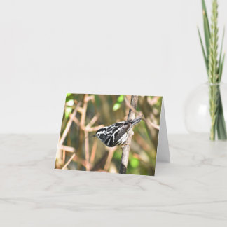 Zwart-wit Warbler #1 - Blank Note Kaart
