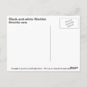 Zwart-wit Warbler Briefkaart (Achterkant)
