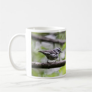 Zwart-wit Warbler Koffiemok