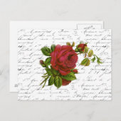  zwart-wit witte Typografie Red Rose Briefkaart (Voorkant / Achterkant)