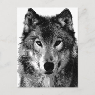 Zwart & Wit Wolf Portret Briefkaart