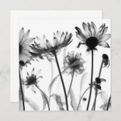Zwart & wit X-Ray Bloemen (Voorkant / Achterkant)