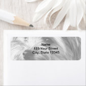 Zwart-wit Yorkshire Terrier Retouradres Etiket (Insitu)
