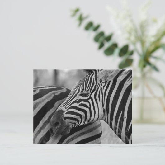 Zwart/wit Zebra Briefkaart (Staand voorkant)