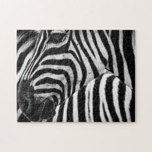 Zwart-wit Zebra Legpuzzel
