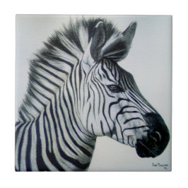 Zwart-wit zebra-portret tegeltje