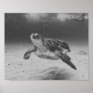 Zwart-wit Zee Turtle Tropical Printable Art Poster