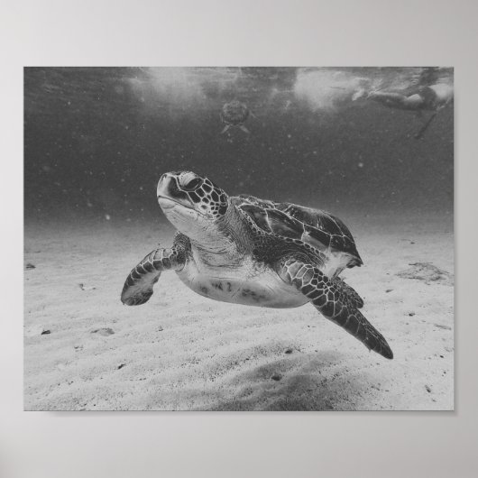 Zwart-wit Zee Turtle Tropical Printable Art Poster (Voorkant)