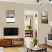 Zwart-wit zeeschelpen canvas afdruk