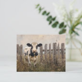 Zwart-wit zuivel Koe stijl Briefkaart (Staand voorkant)
