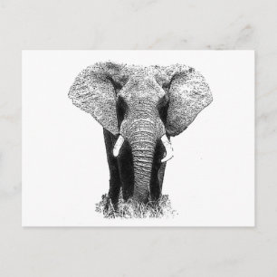 Zwart-witachtig olifant briefkaart