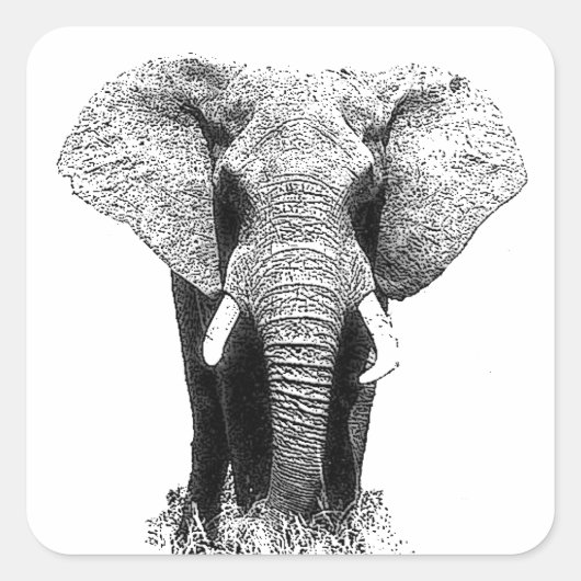 Zwart-witachtig olifant vierkante sticker (Voorkant)