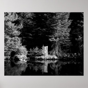Zwart-witboomstronk reflecterend in water 16x20 poster