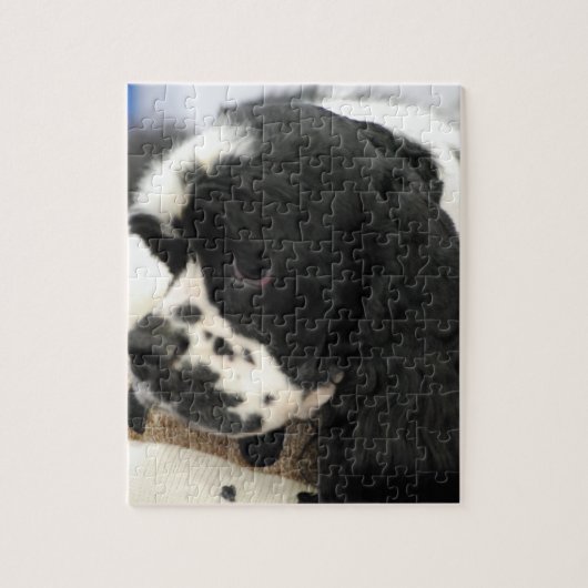 Zwart-witCocker Spaniel Puzzle Legpuzzel (Verticaal)