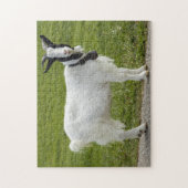 Zwart-witgeit Legpuzzel (Verticaal)