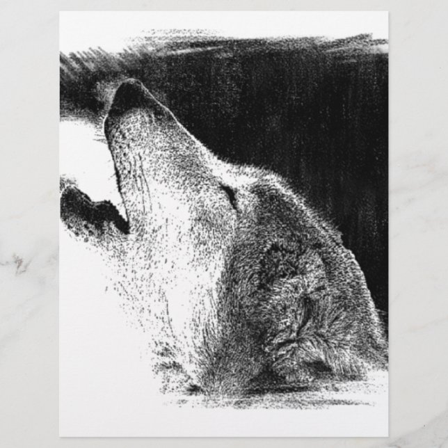 Zwart-witgrijs Wolf-schets (Voorkant)