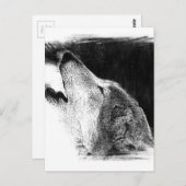 Zwart-witgrijs Wolf-schets Briefkaart (Voorkant / Achterkant)