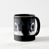 Zwart-withond Mok (Voorkant rechts)