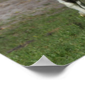 Zwart-witkanaaltje Poster (Hoek)