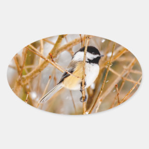 Zwart witkapje - originele foto ovale sticker