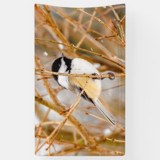 Zwart witkapje - originele foto spandoek (Verticaal)