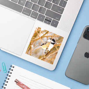 Zwart witkapje - originele foto sticker