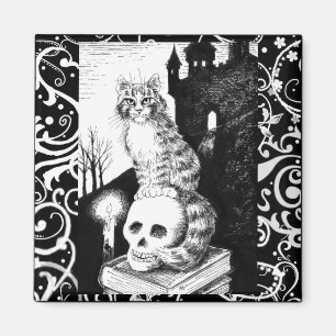 Zwart-witkat Halloween kitten skull magneet