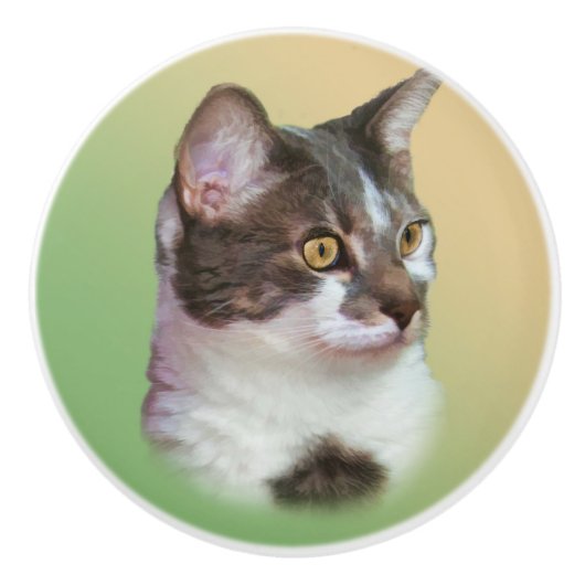 Zwart-witkat, keramische knop (Voorkant)