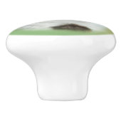 Zwart-witkat, keramische knop (Zijkant)