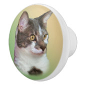 Zwart-witkat, keramische knop (Rechts)