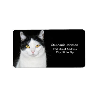 Zwart-witkat-portret Etiket