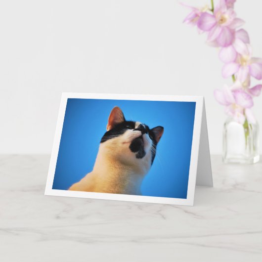 Zwart-witkat-portret Kaart (Orchidee)