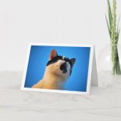 Zwart-witkat-portret Kaart (Voorkant)