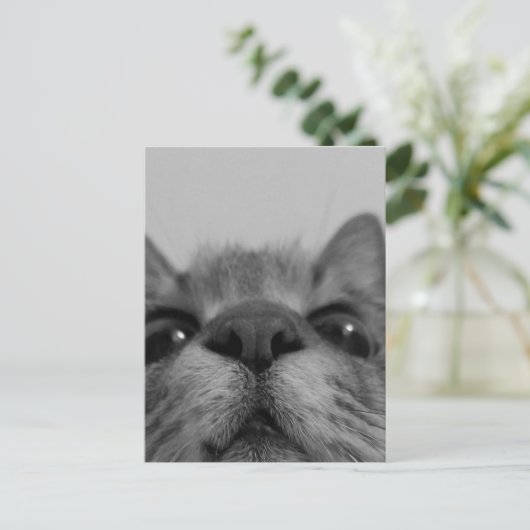 Zwart-witkattegezicht Briefkaart (Staand voorkant)