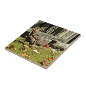 Zwart-witkip met hek tegeltje (Zijkant)