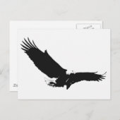 Zwart-witlandingadelaar Briefkaart (Voorkant / Achterkant)