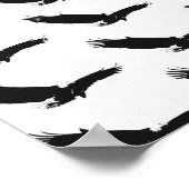 Zwart-witlandingadelaar Poster (Hoek)