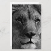 Zwart-witleeuw Briefpapier (Voorkant / Achterkant)