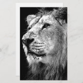 Zwart-witleeuw Briefpapier (Voorkant / Achterkant)