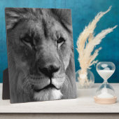 Zwart-witleeuw Fotoplaat (Zijkant)