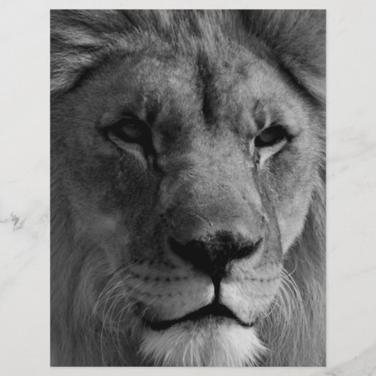 Zwart-witleeuw Gepersonaliseerd Briefhoofd (Voorkant)