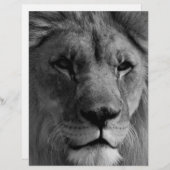 Zwart-witleeuw Gepersonaliseerd Briefhoofd (Voorkant / Achterkant)