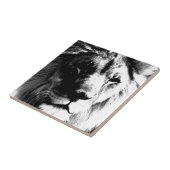 Zwart-witleeuw Tegeltje (Zijkant)