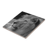 Zwart-witleeuw - Wilde dierfotografie kunst Tegeltje (Zijkant)