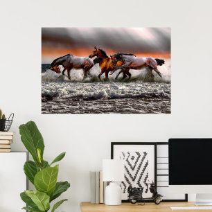 Zwart witpaard Monochrome Afbeelding Canvas Poster