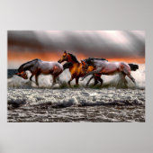 Zwart witpaard Monochrome Afbeelding Canvas Poster (Voorkant)