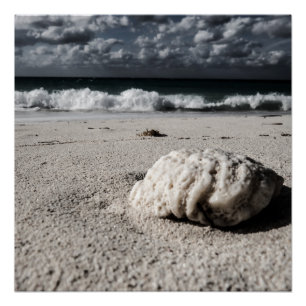 Zwart-witstrand Perfect Poster