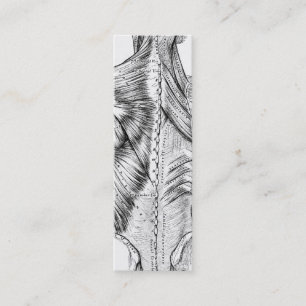 Zwart-witte anatomie Art Rugspieren (1890) Mini Visitekaartje