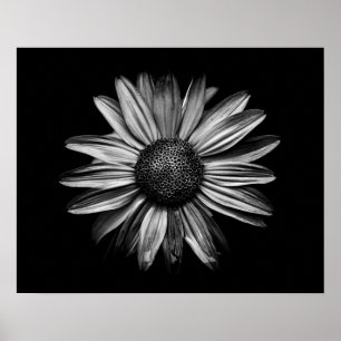 Zwart-witte Bloemen 18 Poster