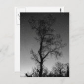 Zwart-witte boom 's nachts briefkaart (Voorkant / Achterkant)